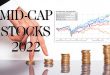 Danh sách cổ phiếu midcap 2022 Top 10 Cổ Phiếu midcap tăng trưởng tốt 2022