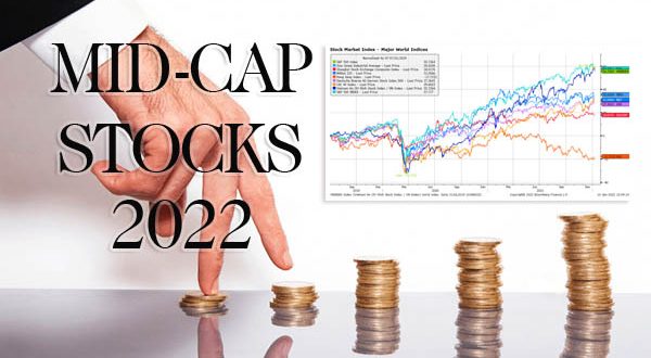 Danh sách cổ phiếu midcap 2022 Top 10 Cổ Phiếu midcap tăng trưởng tốt 2022