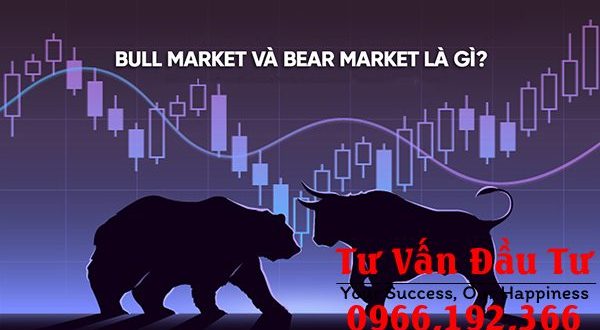 Thị trường con Bò là gì? Thị trường con Gấu là gì? Khuyến nghị đối cho các nhà đầu tư